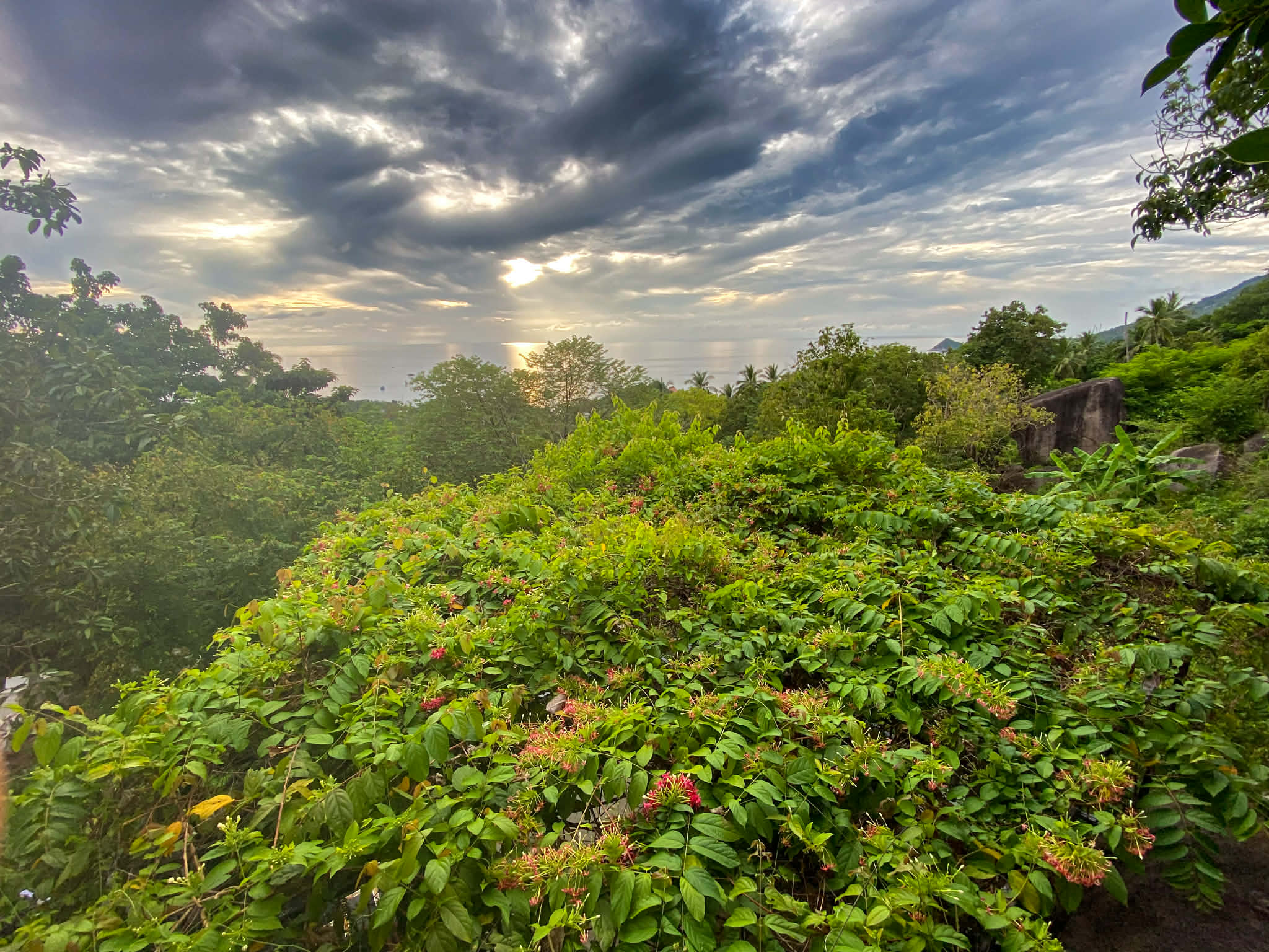 44d3cbbc f86e 40e9 b6aa 4991392a365c