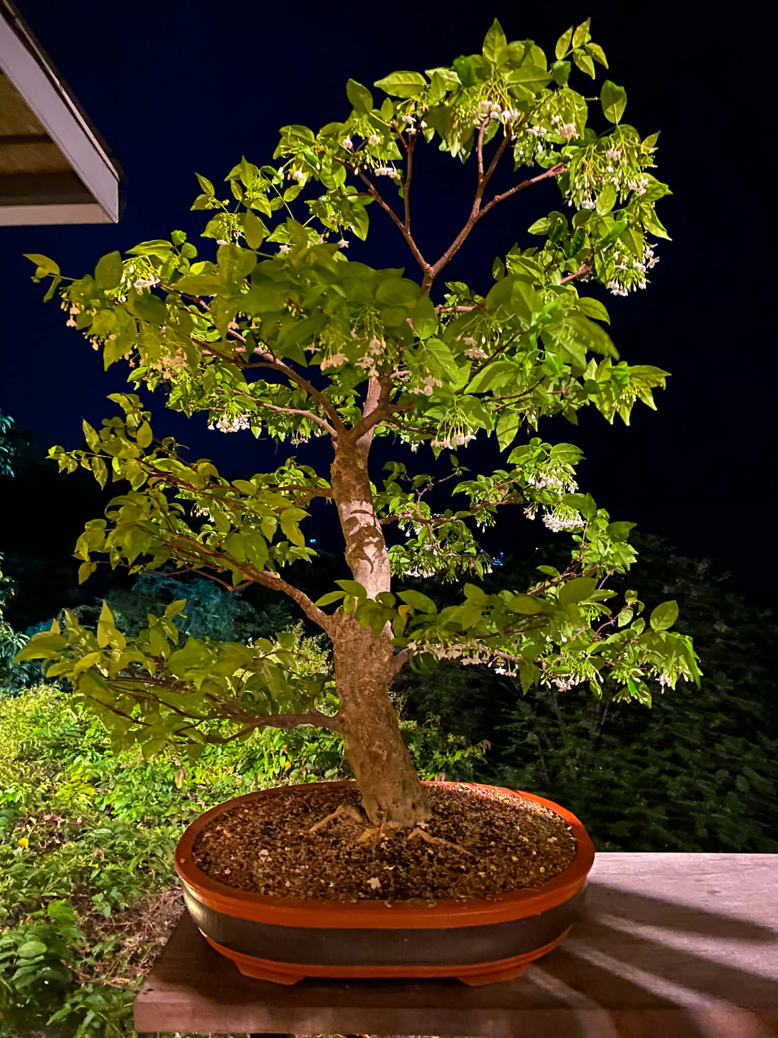 a985283a c822 47da 81ea a2f799e28a41